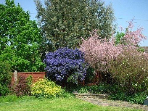Clay Farm Guest House Бромлі Екстер'єр фото